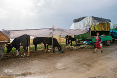 حکایت خانه‌های ناامن