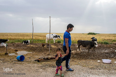 حکایت خانه‌های ناامن