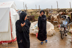 حکایت خانه‌های ناامن