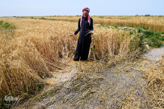 آب‌گرفتگی روستاهای شادگان