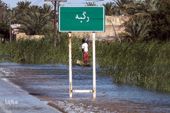 آب‌گرفتگی روستاهای شادگان
