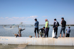 آب‌گرفتگی روستاهای شادگان