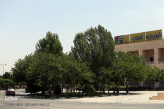 شهربازی برای سرگرمی کودکان از دیگر خدمات رفاهی حرم مطهر امام خمینی(ره) به زائران است.