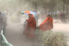 راهبان خود را در جریان آب و هوای گرم در دهلی نو هند محافظت می‌کنند. در بعضی روزها درجه حرارت به 50.8 درجه سانتی‌گراد افزایش پیدا می‌کند.