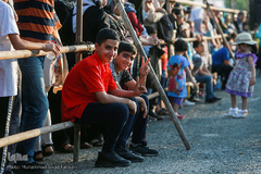 توزیع بزرگترین کیک جهان به مناسبت میلاد امام رضا(ع)