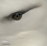 برگزیدگان دهمین دوره مسابقه سالانه عکاسی آئودوبن (گیاهان برای پرندگان)