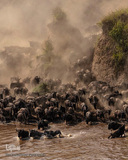 تصاویر برگزیده هفته نشنال‌جئوگرافیک