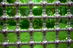 تجدید میثاق جهاد گران دانشگاهی با آرمانهای رهبر کبیر انقلاب