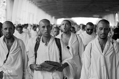 عزیمت زائران اهل سنت به سمت منا