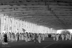 عزیمت زائران اهل سنت به سمت منا