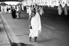 عزیمت زائران اهل سنت به سمت منا