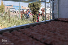 اطعام غدیری خیریه متوسلین به امام رضا(ع) بین ۴ هزار نیازمند تهرانی