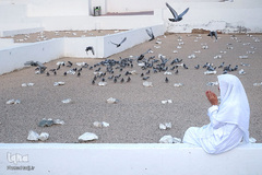 قبرستان ابوطالب