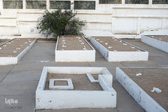 قبرستان ابوطالب