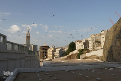 قبرستان ابوطالب