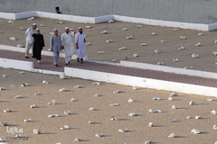 قبرستان ابوطالب