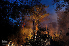 اتش‌سوزی سهمگین در آمازون