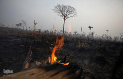 اتش‌سوزی سهمگین در آمازون