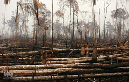 اتش‌سوزی سهمگین در آمازون