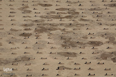 قبرستان بقیع