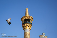 آیین سنتی «صلا» در حرم مطهر رضوی