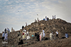 زیارت «دوره» مدینه منوره