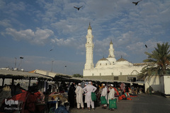 زیارت «دوره» مدینه منوره