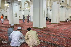 زیارت «دوره» مدینه منوره