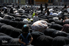 عاشورای حسینی در جوار ضامن آهو