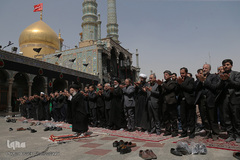 شور عاشورای حسینی در قم