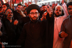 زائران حسینی