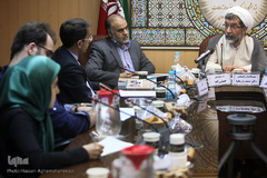 نشست نقد و بررسی کتاب «تکوین نهاد مرجعیت تقلید شیعه» 