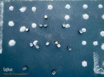 ویتنام، از نگاهی دیگر