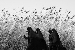 دیار نزدیک، مجموعه‌ای که ارادت و اشتیاق مردم به قهرمانان هشت ساله جنگ تحمیلی را به نمایش می‌گذارد.