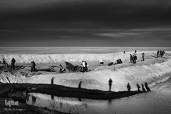 دیار نزدیک، مجموعه‌ای که ارادت و اشتیاق مردم به قهرمانان هشت ساله جنگ تحمیلی را به نمایش می‌گذارد.