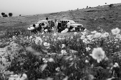 دیار نزدیک، مجموعه‌ای که ارادت و اشتیاق مردم به قهرمانان هشت ساله جنگ تحمیلی را به نمایش می‌گذارد.