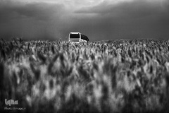 دیار نزدیک، مجموعه‌ای که ارادت و اشتیاق مردم به قهرمانان هشت ساله جنگ تحمیلی را به نمایش می‌گذارد.