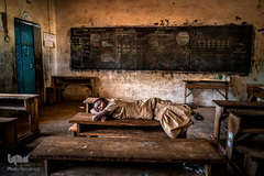 برگزیدگان مسابقه عکاسی محیط زیست