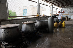 آماده‌سازی مواکب در مرز چذابه