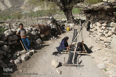 عشایر و زندگی روستایی