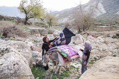 عشایر و زندگی روستایی