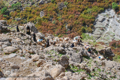 عشایر و زندگی روستایی