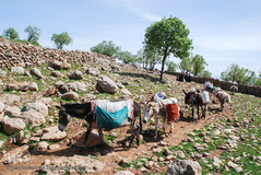 عشایر و زندگی روستایی
