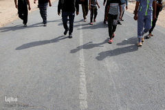 پیاده‌روی اربعین حسینی، مسیر نجف تا کربلا