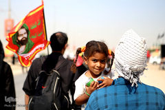 پیاده‌روی اربعین حسینی، مسیر نجف تا کربلا