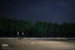 پیاده‌روی اربعین حسینی، مسیر نجف تا کربلا