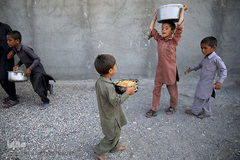 توزیع 5000هزار غذای نذری هم نمک در اربعین منطقه محروم جازموریان