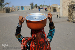 توزیع 5000هزار غذای نذری هم نمک در اربعین منطقه محروم جازموریان