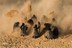 مراسم تعزیه روز اربعین در امامزاده شاه کرم(ع) اصفهان