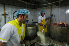 پیاده‌روی زائران رضوی